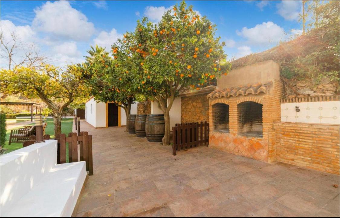 Cortijo Andaluz Dona Adela Konuk evi Almería Dış mekan fotoğraf